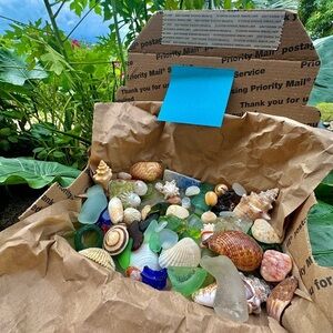 Beach mystery box Sea shells sea glass Puerto Rico Caribbean mermaid treasures